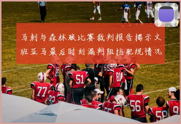马刺与森林狼比赛裁判报告揭示文班亚马最后时刻漏判阻挡犯规情况