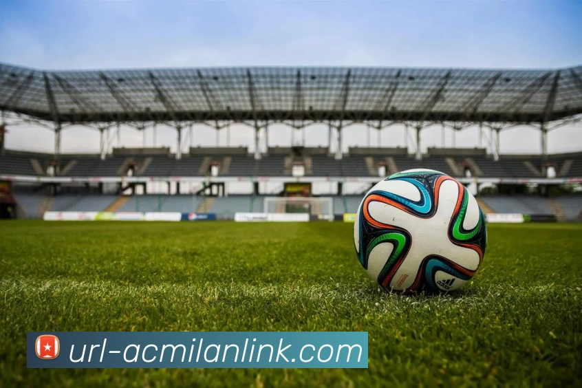 米兰体育服务体系